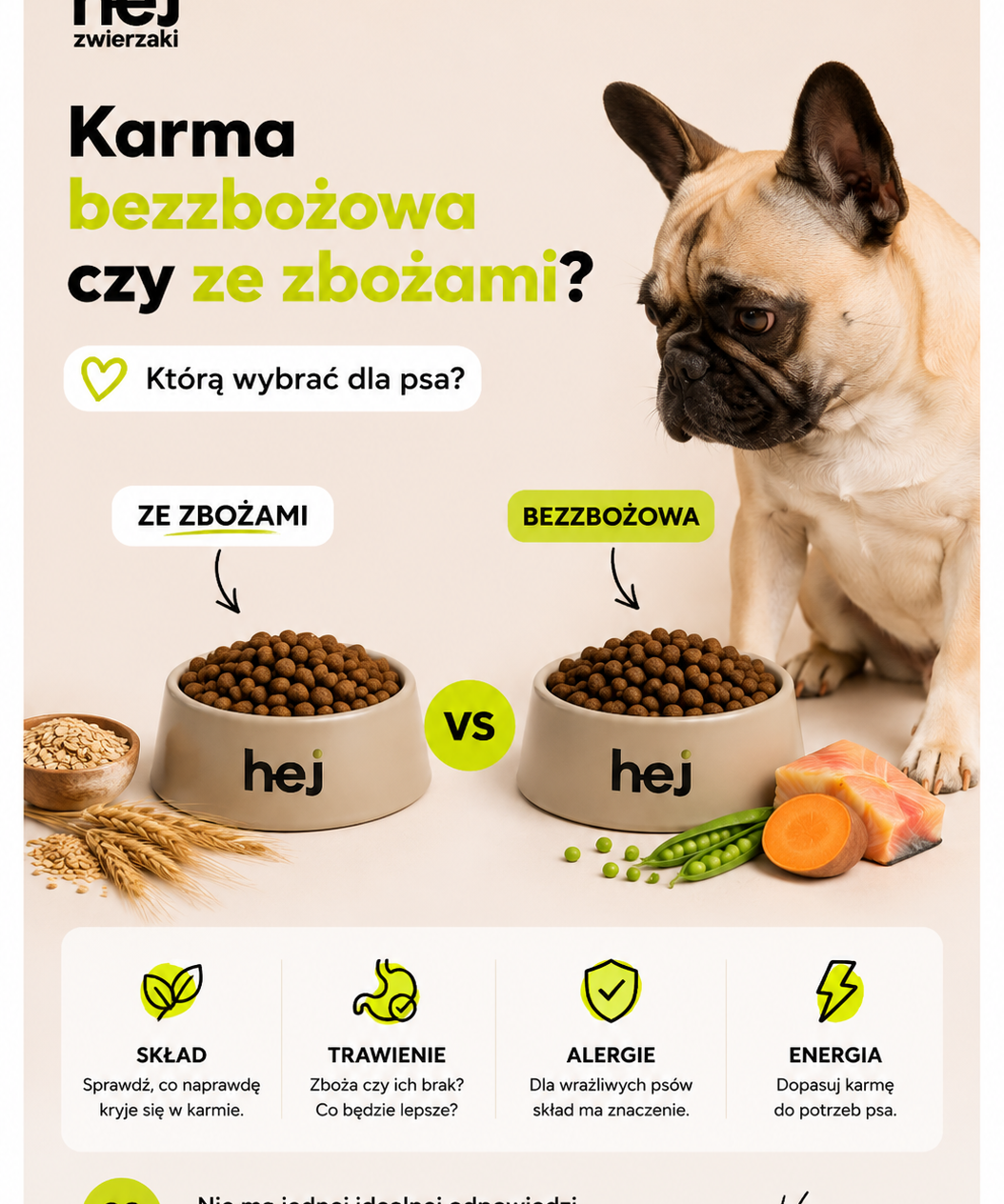 Karma bezzbożowa czy ze zbożami? Którą wybrać dla psa?