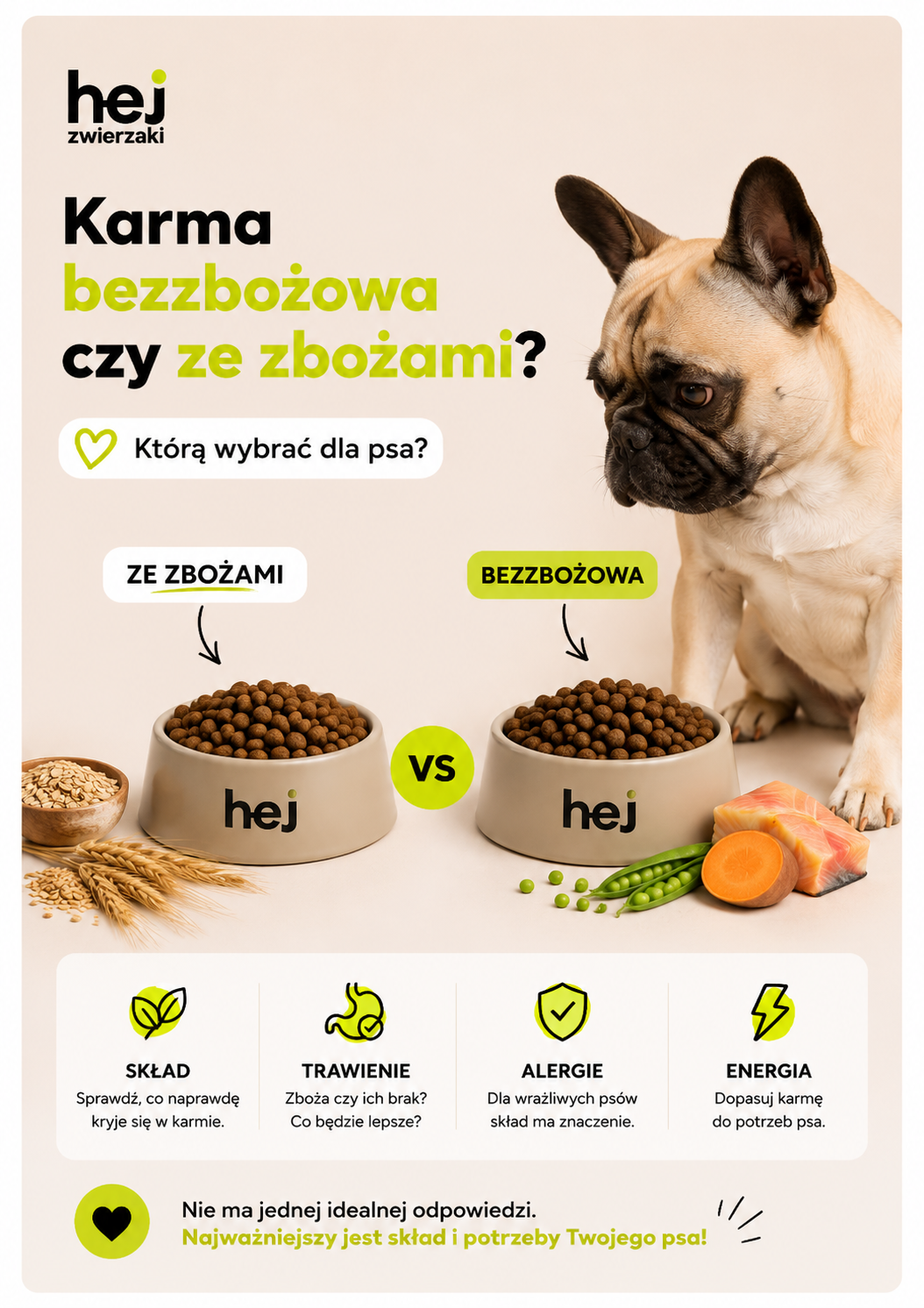Karma bezzbożowa czy ze zbożami? Którą wybrać dla psa?
