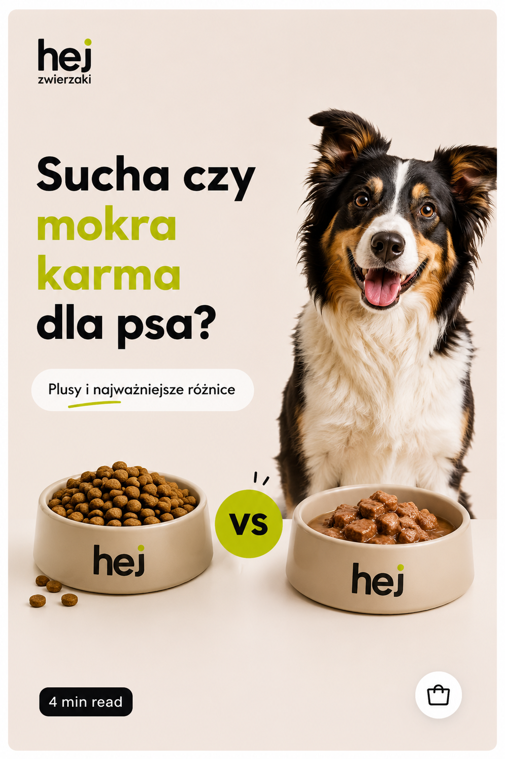 Sucha czy mokra karma dla psa? Plusy, minusy i najważniejsze różnice
