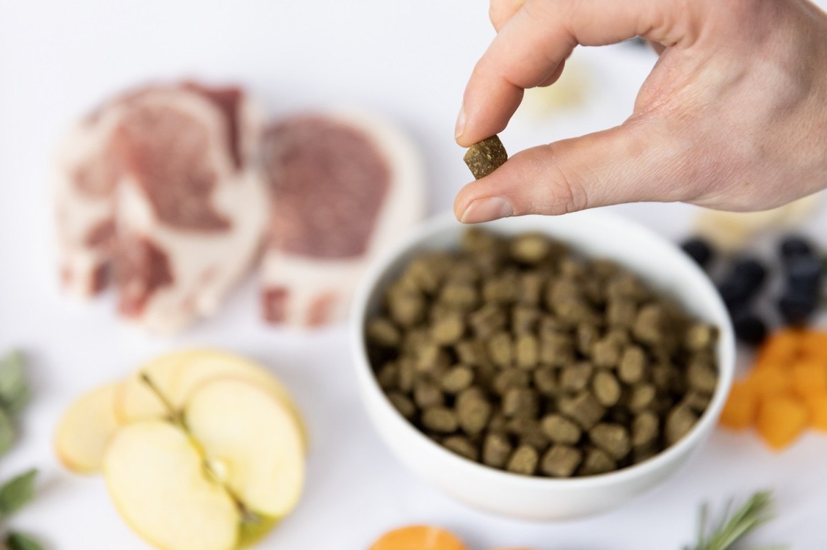 YDOLO-Iberico-wieprzowina-Iberico-karma-polwilgotna-dla-psa-2-5kg__3857__1200.jpg